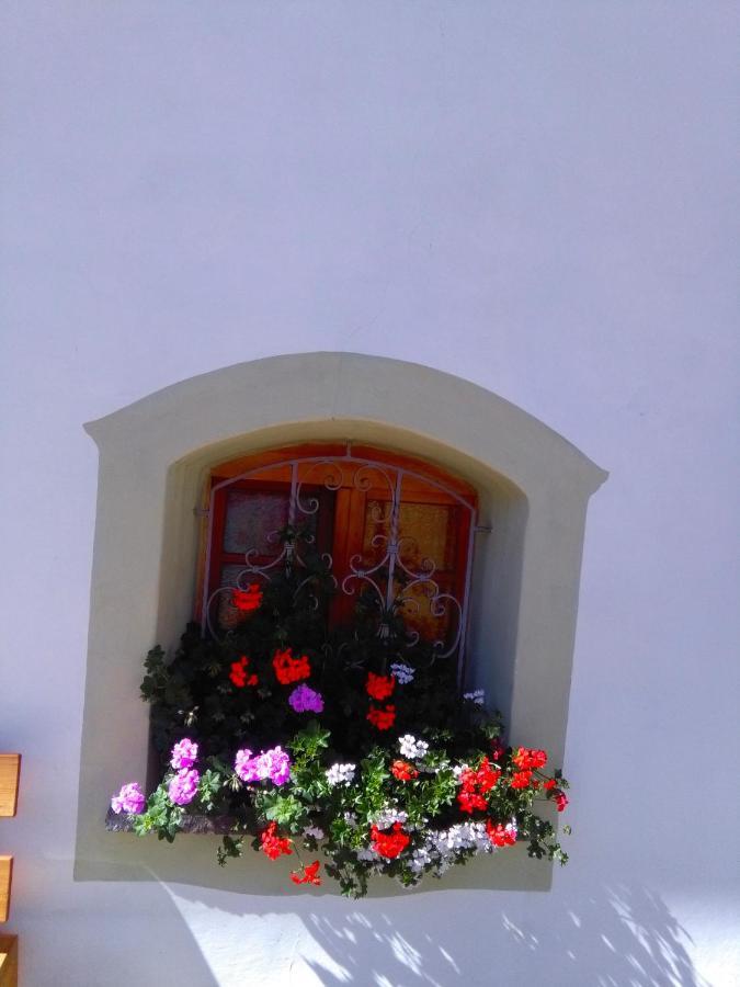 Achillea Bed & Breakfast Vigo di Fassa Exterior foto